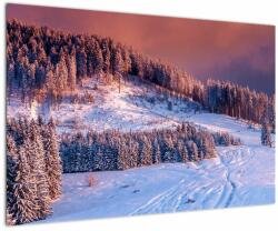 Mivali Tablou - Peisaj de iarnă, dintr-o bucată 90x60 cm (V023219V9060)