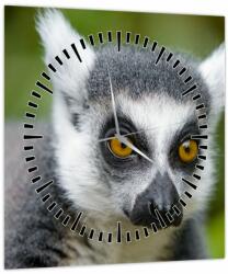 Mivali Tablou cu lemur (cu ceas), dintr-o bucată 30x30 cm cu ceas (V021130V3030C)
