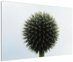 Mivali Tablou - Sfere de flori, dintr-o bucată 120x80 cm (V022586V12080)
