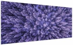 Mivali Tablou cu copacii înzăpeziți, dintr-o bucată 200x100 cm (V021148V200100)