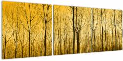 Mivali Tablou - Palntație cu pomi, din trei bucăți 120x40 cm (V021313V12040)