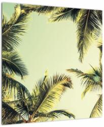 Mivali Tablou - Palmieri de cocos, dintr-o bucată 50x50 cm (V023328V5050)