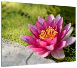Mivali Tablou - Lotus, dintr-o bucată 70x50 cm (V021330V7050)