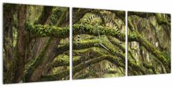 Mivali Tablou - Oaks Avenue, Charleston, Carolina de Sud, SUA (cu ceas), din trei bucăți 90x30 cm cu ceas (V023285V9030C)
