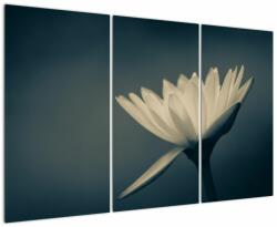 Mivali Tablou cu flori, din trei bucăți 120x80 cm (V021223V120803PCS)