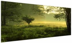 Mivali Tablou - Pădurea trezită, dintr-o bucată 250x125 cm (V022387V250125)