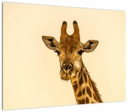 Mivali Tablou pe sticlă cu girafe, dintr-o bucată 70x50 cm pe sticlă (V020914V7050GD)