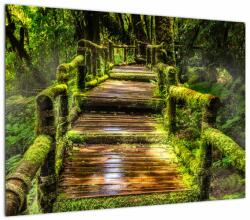 Mivali Tablou cu scări într-o pădure tropicală, dintr-o bucată 70x50 cm (V020941V7050)
