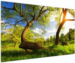 Mivali Tablou lunca ne primăvară, dintr-o bucată 150x100 cm (V021769V150100)