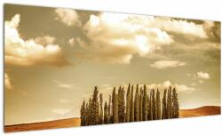 Mivali Tablou cu luncă, dintr-o bucată 100x40 cm (V021929V10040)