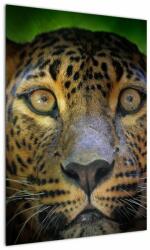 Mivali Tablou - Portretul leoparduslui, Sri Lanka, dintr-o bucată 50x70 cm (V021762V5070)