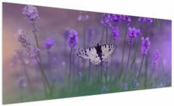 Mivali Tablou - fluture în lavandă, dintr-o bucată 250x125 cm (V021452V250125)