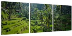 Mivali Tablou cu terasele cu orez Tegalalang, Bali, din trei bucăți 90x30 cm (V021569V9030)