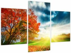 Mivali Tablou peisaj cu scufundat în razele solare (V021773V90603PCS)