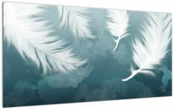 Mivali Tablou pe sticlă - Pene albe, dintr-o bucată 100x50 cm pe sticlă (V022386V10050GD)