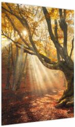 Mivali Tablou - Lumina de toamnă, dintr-o bucată 50x70 cm (V023856V5070)