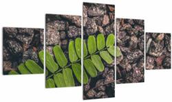 Mivali Tablou cu planta verde, din cinci bucăți 125x70 cm (V020371V12570)