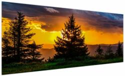 Mivali Tablou - coniferi, dintr-o bucată 250x125 cm (V020674V250125)