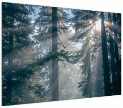Mivali Tablou cu copaci și soarele translucind, dintr-o bucată 100x70 cm (V021195V10070)