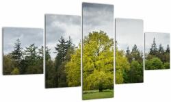 Mivali Tablou - Copac verde în câmp, din cinci bucăți 125x70 cm (V022540V12570)