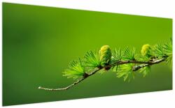 Mivali Tablou con verde, dintr-o bucată 200x100 cm (V020627V200100)