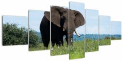 Mivali Tablou cu elefant, din șapte bucăți 210x100 cm (V021182V210100)
