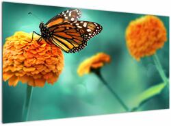 Mivali Tablou cu fluture, dintr-o bucată 120x70 cm (V022134V12070)