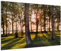 Mivali Tablou cu pomi lângă lac, dintr-o bucată 90x60 cm (V020839V9060)