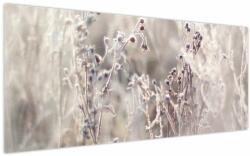 Mivali Tablou - Plante, dintr-o bucată 200x100 cm (V023815V200100)