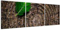 Mivali Tablou cu frunză pe trunchi de copac, din trei bucăți 120x40 cm (V020813V12040)