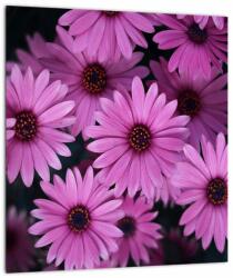 Mivali Tablou pe sticlă cu florile roz, dintr-o bucată 30x30 cm pe sticlă (V020923V3030GD)