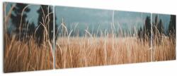 Mivali Tablou - detaliu spațiului de luncă, din trei bucăți 170x50 cm (V020178V17050)