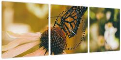 Mivali Tablou cu fluture pe floare (cu ceas), din trei bucăți 90x30 cm cu ceas (V021201V9030C)