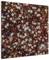Mivali Tablou cu floare de nu mă uita, dintr-o bucată 70x70 cm (V020811V7070)