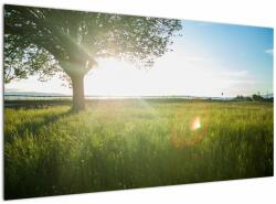 Mivali Tablou cu lunca în vară, dintr-o bucată 120x70 cm (V020199V12070)