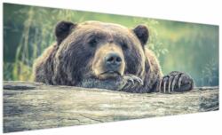 Mivali Tablou cu urs, dintr-o bucată 250x125 cm (V020899V250125)