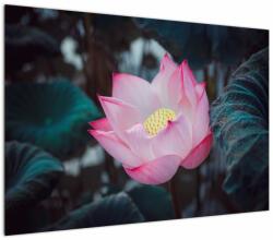 Mivali Tablou cu floare roz, dintr-o bucată 100x70 cm (V020420V10070)