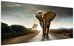 Mivali Tablou cu elefant, dintr-o bucată 200x100 cm (V022219V200100)