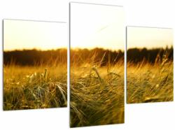 Mivali Tablou iarba cu rouă, din trei bucăți 90x60 cm (V020584V90603PCS)