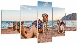 Mivali Tablou cu cămile, din cinci bucăți 150x80 cm (V022121V150805PCS)