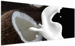 Mivali Tablou - laptele de cocos, dintr-o bucată 250x125 cm (V020051V250125)