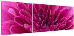 Mivali Tablou cu floare, din trei bucăți 150x50 cm (V021175V15050)