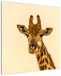 Mivali Tablou cu girafe, dintr-o bucată 70x70 cm (V020914V7070)