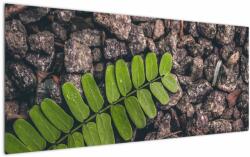 Mivali Tablou cu planta verde, dintr-o bucată 120x50 cm (V020371V12050)
