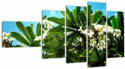 Mivali Tablou - Plumeria, din cinci bucăți 110x60 cm (V021519V11060)