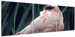 Mivali Tablou - Pasărea Flamengo, din trei bucăți 150x50 cm (V021645V15050)