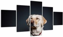 Mivali Tablou cu labrador, din cinci bucăți 125x70 cm (V021153V12570)