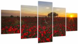 Mivali Tablou cu lunca și macii (cu ceas), din cinci bucăți 150x80 cm cu ceas (V020551V15080C)