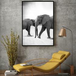 Mivali Poster - Elefanții venind inainte, mărimea A4 (S040010SA4)