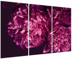 Mivali Tablou - Floarea bujorului, din trei bucăți 120x80 cm (V023999V120803PCS)